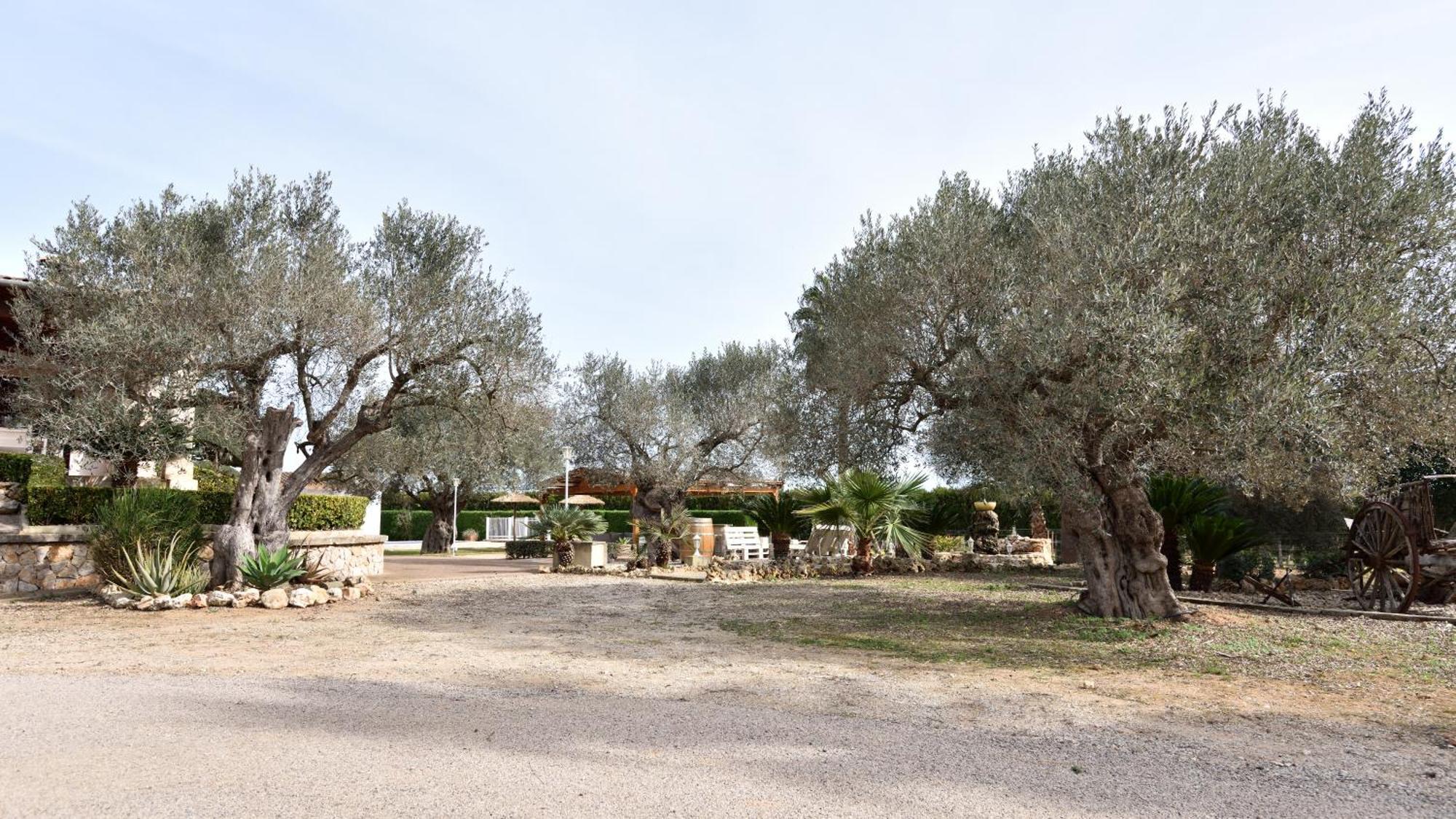 Sa Tanca Gran Βίλα Sineu  Εξωτερικό φωτογραφία