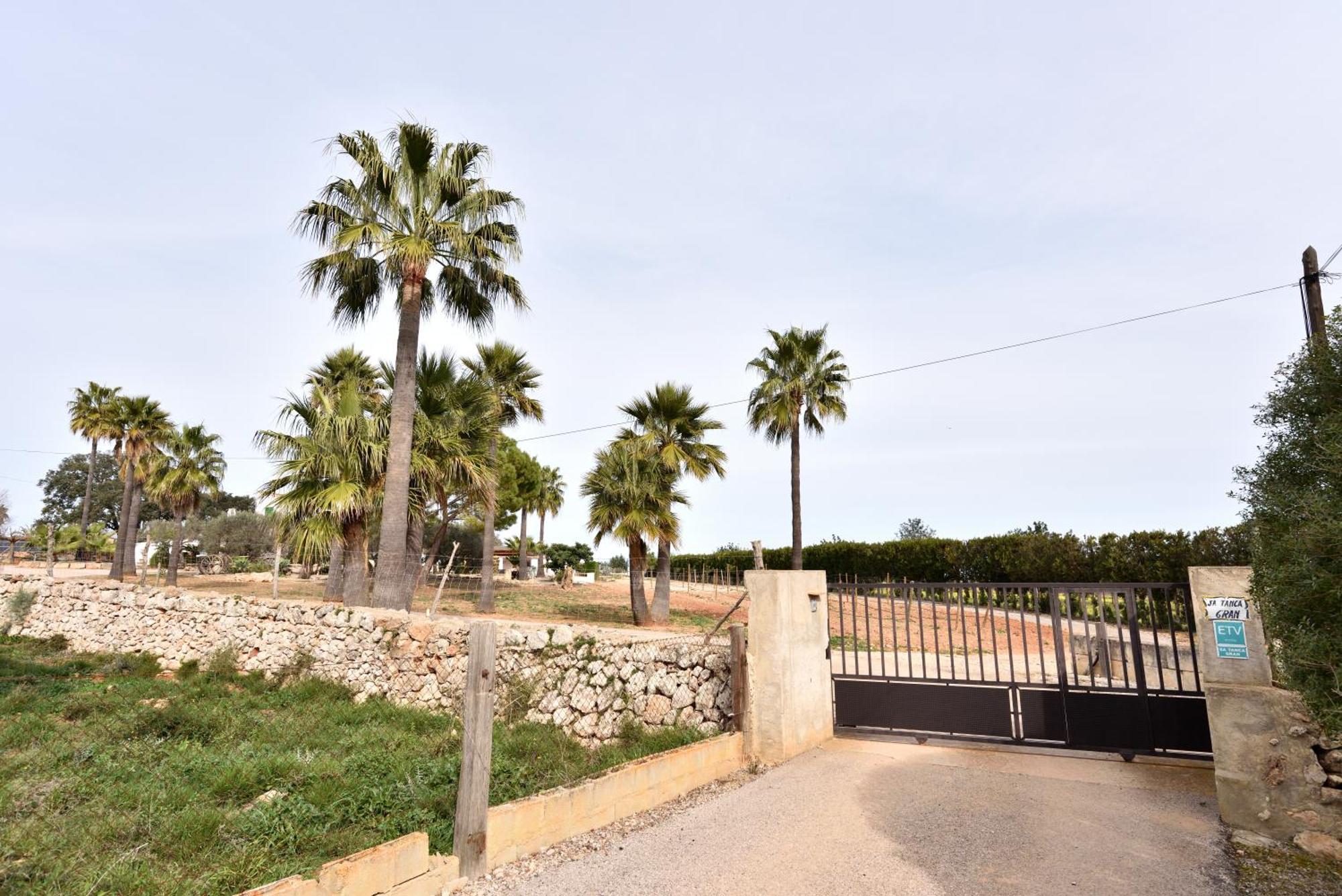 Sa Tanca Gran Βίλα Sineu  Εξωτερικό φωτογραφία